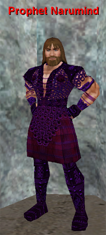 Narumind.png
