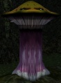 EQ000069.JPG