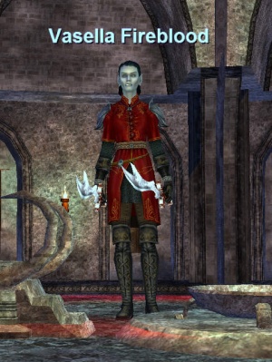 T9 Vasella.jpg